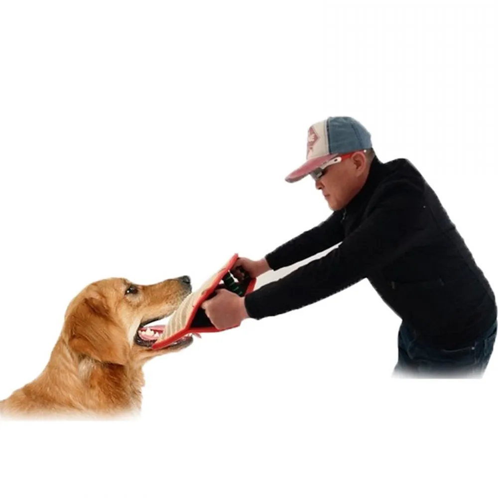 6_conew1