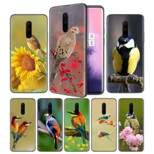 lovely birds Soft Black Silicone Case Cover for OnePlus 6 6T 7 Pro 5G Ultra-thin TPU Phone Back Protective