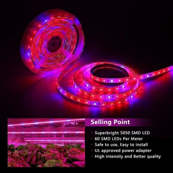 

LED Grow light Full Spectrum 5050 5m/lot 60leds/m DC12V LED Grow Strip light LED Flower Plant Phyto Growth lamps For Greenhouse