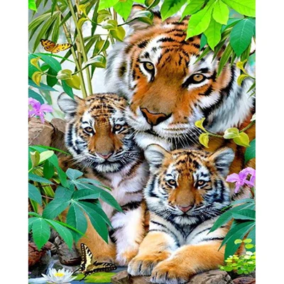 Needlework-diy-5d-diamond-painting-cross-stitch-tiger-rhinestone-pasted-painting-diamond-embroidery-home-decor-wall.jpg_640x640 (2)