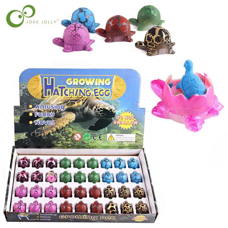 36Pcs Magic Hatching Growing Turtle Animal Eggs Add Water Child Kids Toy Gift !