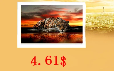 HTB1D3jYRXXXXXbiapXXq6xXFXXXs