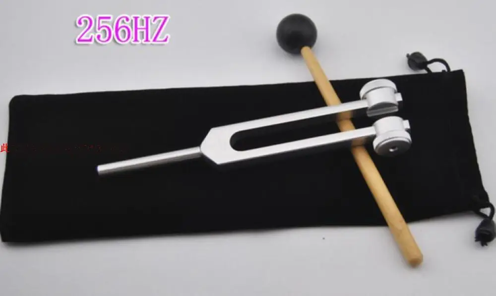 Frequency 256Hz nervous system testing tuning fork hearing test tuning