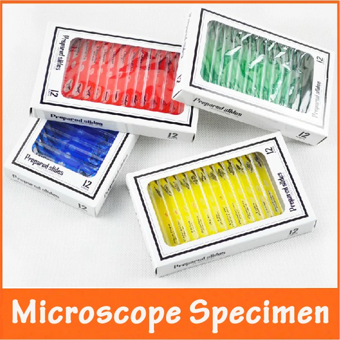 48 шт. детский пластиковый образец животных насекомых растений цветов|microscope