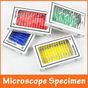 

48pcs Animals Insects Plants Flowers Plastic Prepared Microscope Slides Biological Specimen for Children Student Toy Microscopes