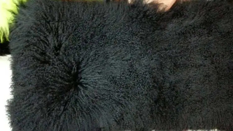 lamb fur black (2)