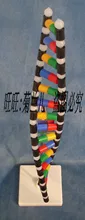 

400mm*57mm DNA Double helix structure model with holder