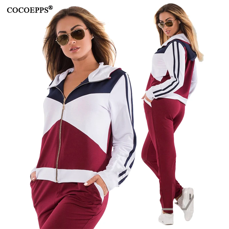 COCOEPPS10