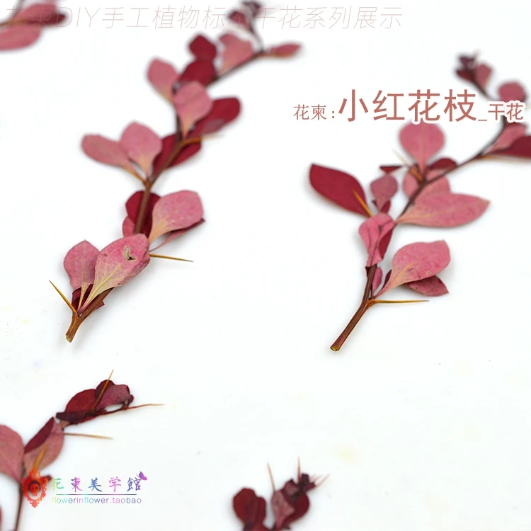 TB20Hk6pVXXXXXyXXXXXXXXXXXX_!!92904417