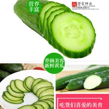 

Blooming Plants Virgo Annual Fruit melon Seeds Home Easy To Plant Netherls Pick Undefeated 10Seeds