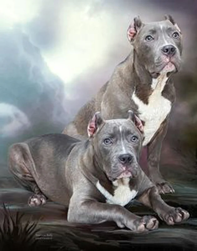 b11671cabc6cf7dbee21482922856041--american-bullies-animal-portraits