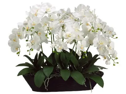 

Flower Arrangment 12 PCS Orchids + 10 PCS Leaves Real Touch Flower Wedding Fake Flower Decorative Event Flower Free Shipping