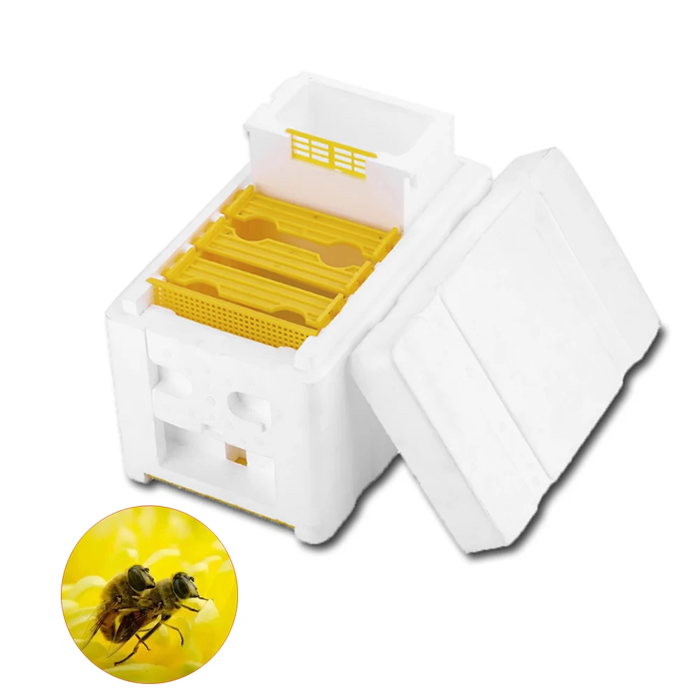 1 шт. пчелиная вязка коробка для разведения инкубатор Пасека размножения пены изоляции полировки king rearing оборудование пчелы принадлежности для пчеловодства