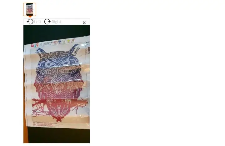 36020180310125529484