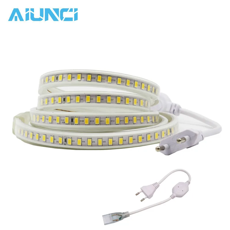buy 220V 120Led m Led Strip light 5730SMD,Super Bright 1m 2m 3m 4m 5m 10m 20m White Warm White Waterproof Led Light With EU Plug