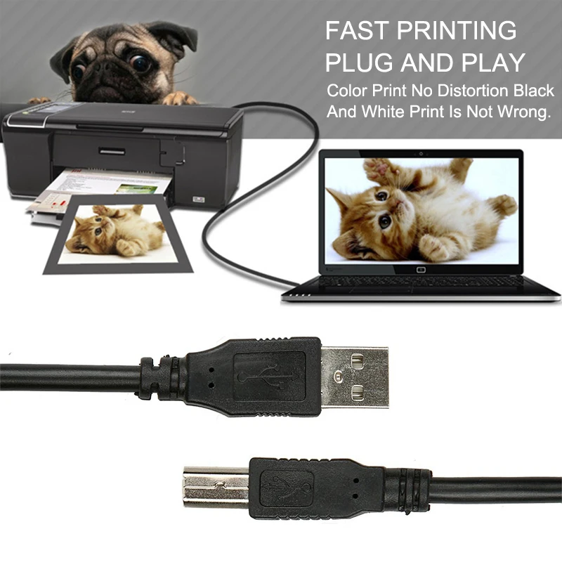 Egrincy usb 2.0 النوع a إلى b ذكر ل ذكر كابل الطابعة سريع مزامنة بيانات شحن الحبل ل canon epson hp طابعة الفاكس آلة 5 10 متر