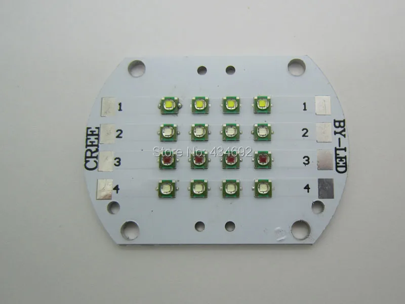 XPE RGBW 4 (4)