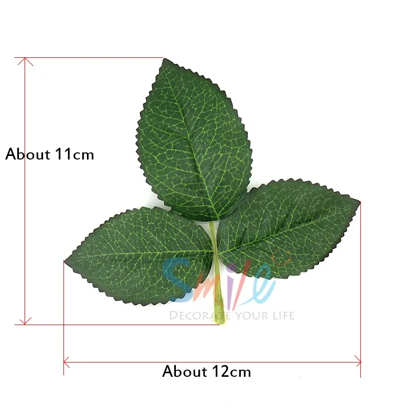 Leaf size1 