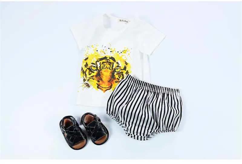 3775882749_528200829