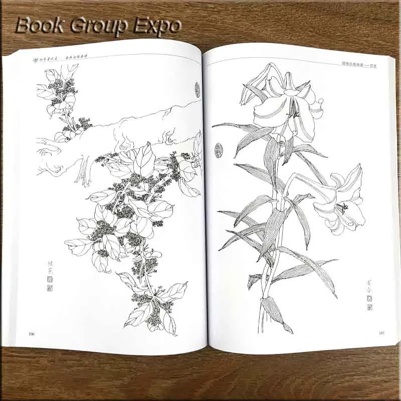 Китайская живопись линия Рисование книга цветной карандаш цветок птицы и насекомое раскраска книга для взрослых детей