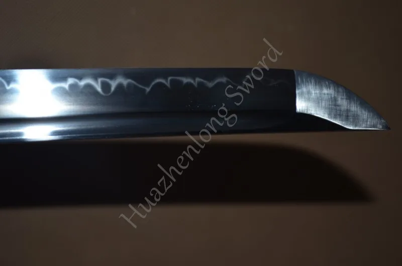 conew_dsc_0231