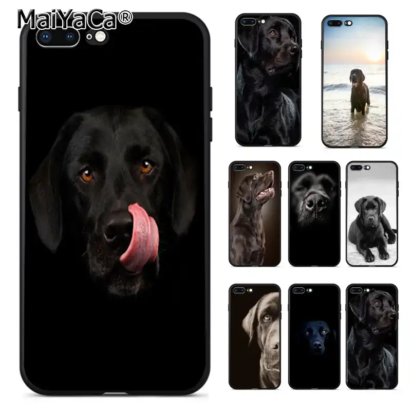 coque iphone 8 dog coque iphone 8 dog