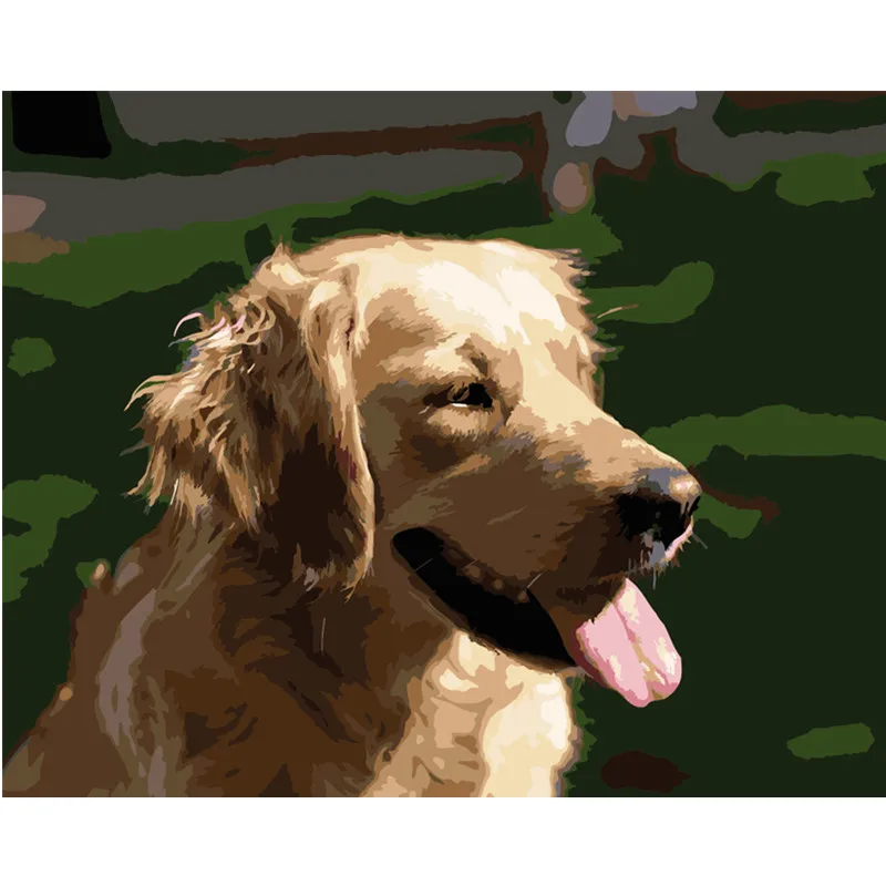 

Painting By Numbers DIY Dropshipping 40x50 50x65cm Cute golden retriever dog Animal Canvas Wedding Decoration Art picture Gift