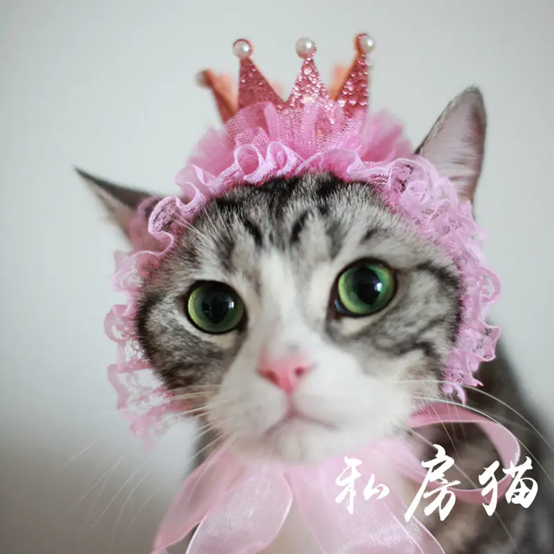 [MPK кошачий головной убор] Красивая кошачья шляпа, аксессуары для шерсти домашних животных, кошачий головной убор, шляпа для дня рождения питомца, корона для дня рождения кошки