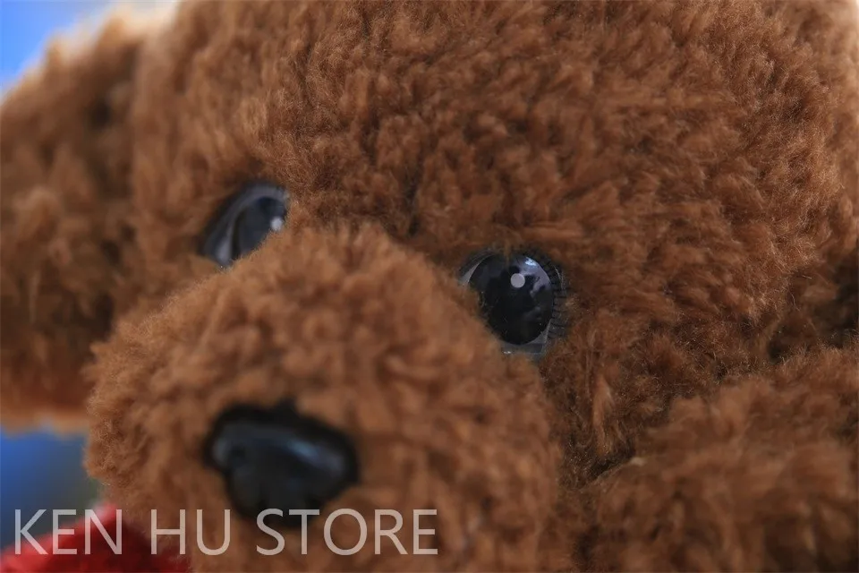 2615895857_1704633697