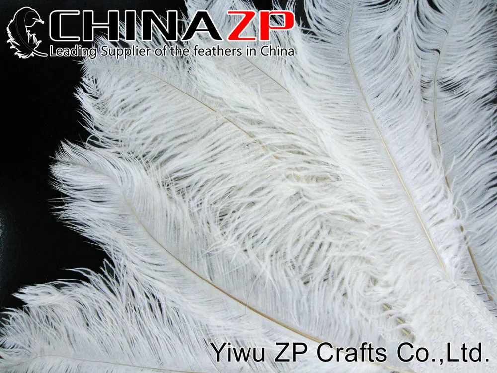 Ostrich Feathers, 10 Pieces - Large OFF WHITE Ostrich Plumes Dyed Drabs Feathers 19-24