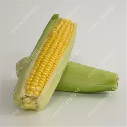 Бонсай сладкая кукуруза 20 шт. Китай vegetanle для домашнего сада