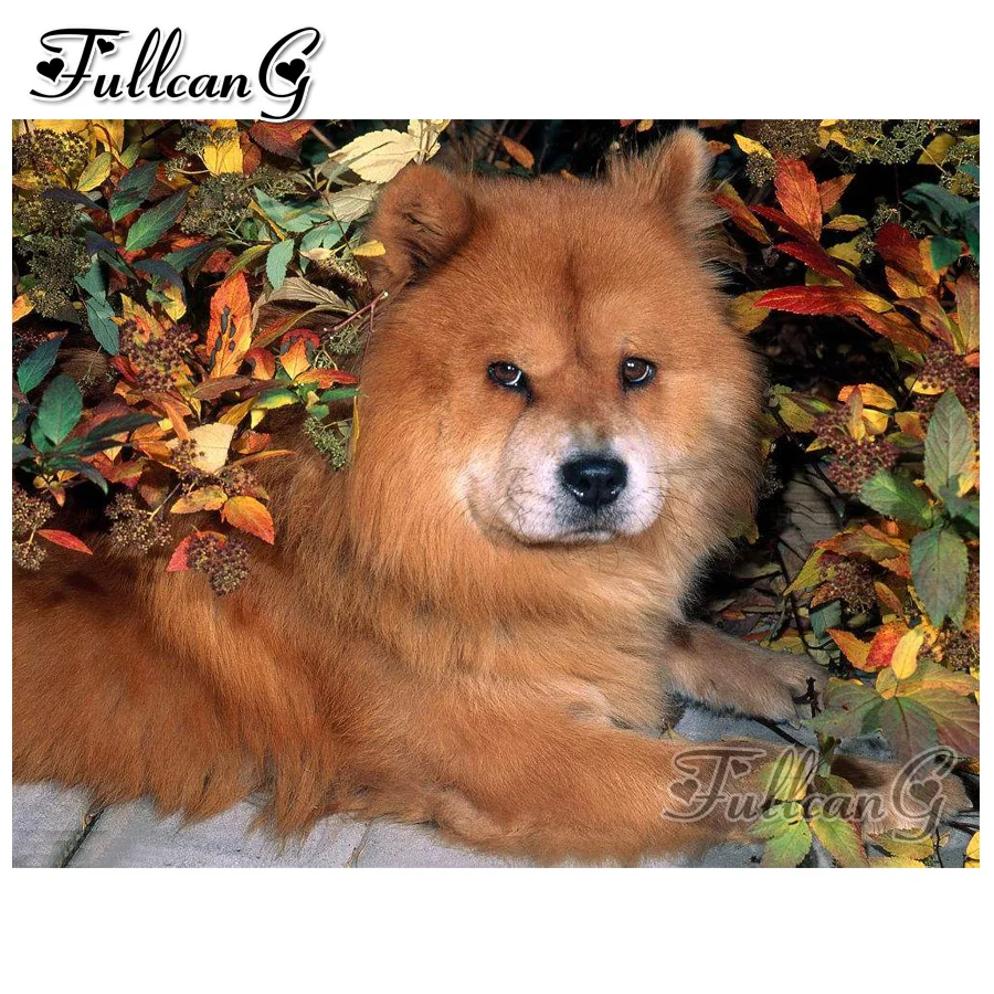 

FULLCANG diy 5d mosaic full embroidery chow chow dog painting with diamond mazayka animals square/round drill hobby decor FC950