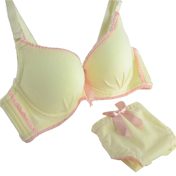 Women Bras + Panties Set Push Up Padded Bra Set Underwired Female Lingerie Brief Set Women Bras + Panties Set Push Up Padded Bra Set Underwired Female Lingerie Brief Set
