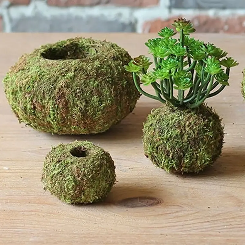 

Moss Ball Pot Bird Nest Flower Plant Home Office Desk Table Garden DIY Decoration