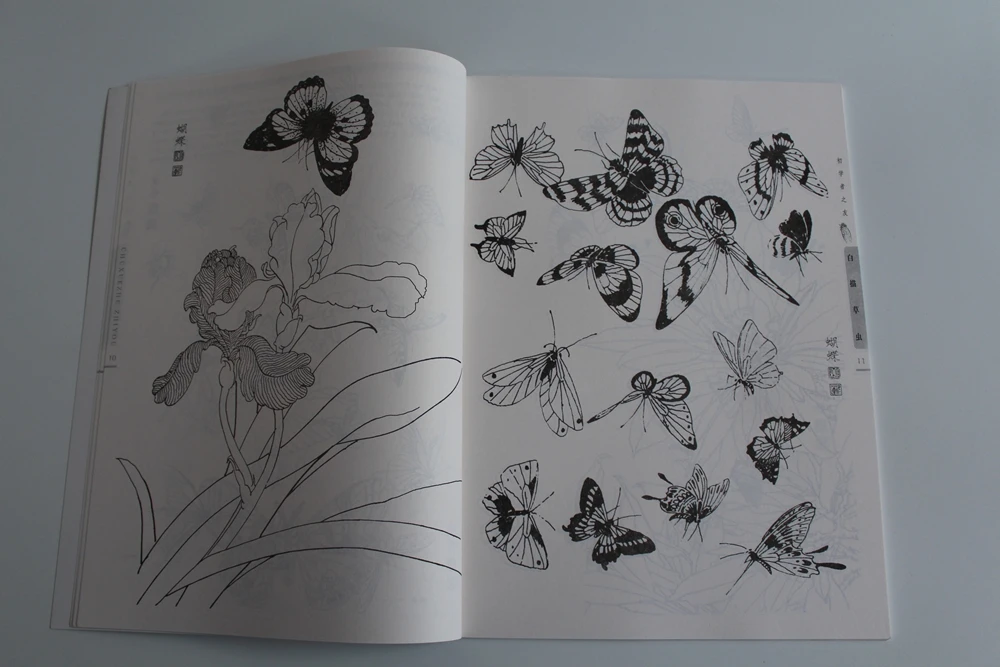 Butterfly Insect Dragonfly Chinese Painting Sketch Outline Reference Book Butterfly Insect Dragonfly Chinese Painting Sketch Outline Reference Book