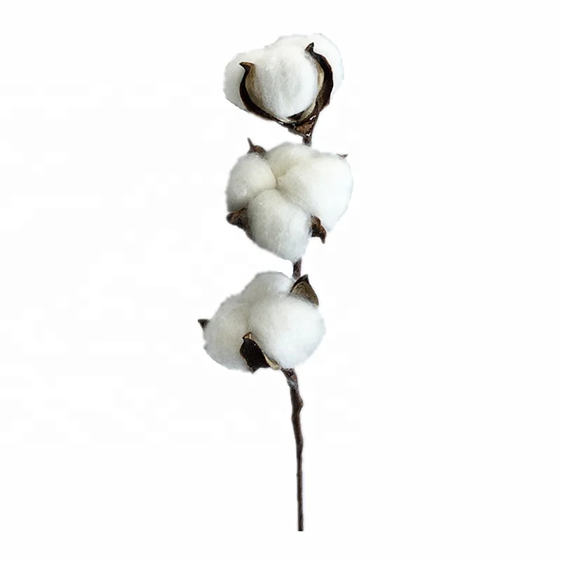 8 Inch 3 Heads Artificial Cotton Flower Boll Single Picks for Farmhouse Decor Dried Flowers | Дом и сад