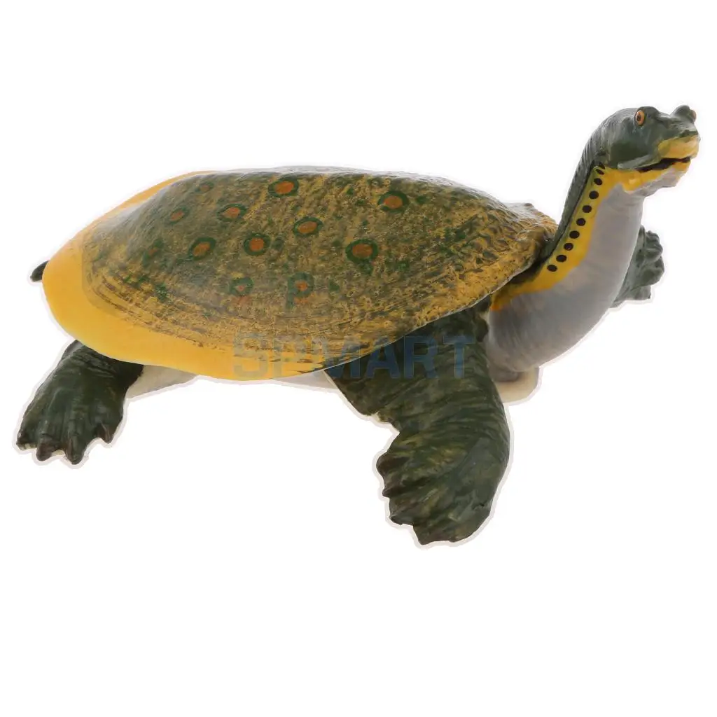 Animals Figure Toys Sea Soft-shelled turtle Animals Model Aquarium Toys Realistic Wild Pastic Figurine Animal Developmental Toy