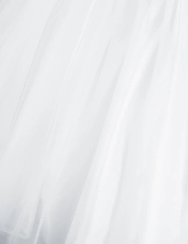 10024564_12