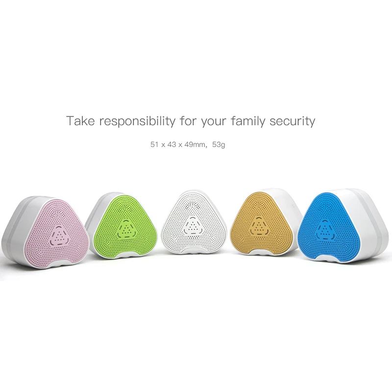 gas alarm (8)