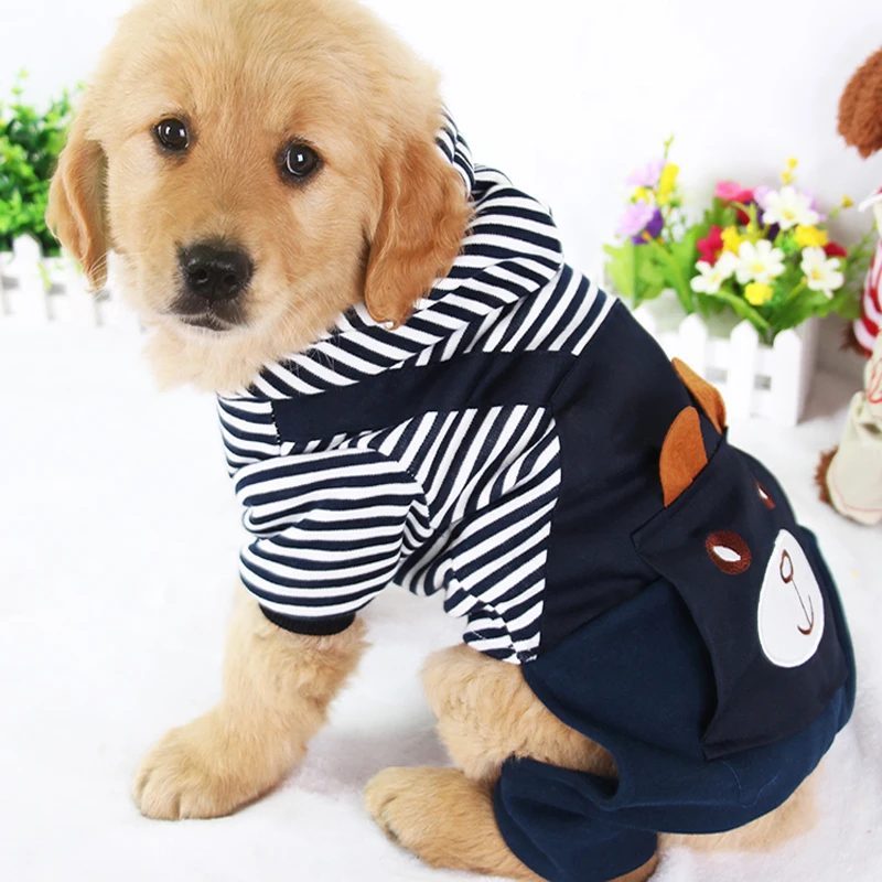 puppy winter clothes