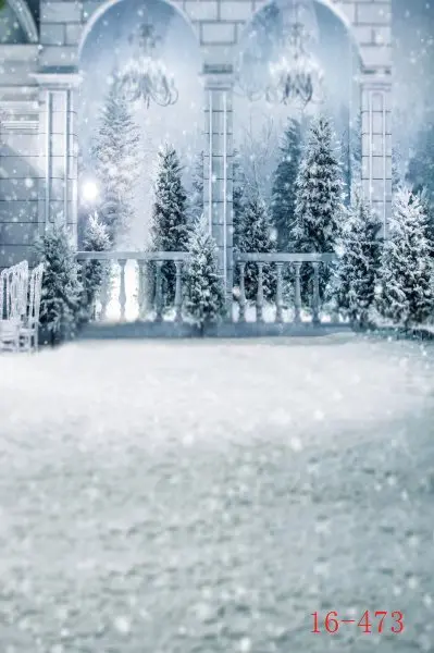

SHANNY Vinyl Custom Photography Backdrops Prop Digital printed Winter theme Photo Studio Background 16-473