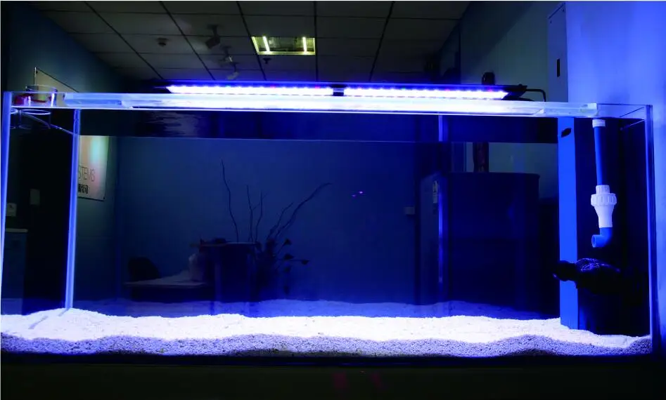 nemo light freshwater
