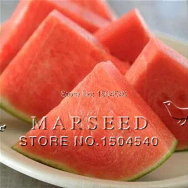 10 Seedless watermelon Seeds sweet& juice very tasty easy-growing tropical  fruit seeds for planting  edible