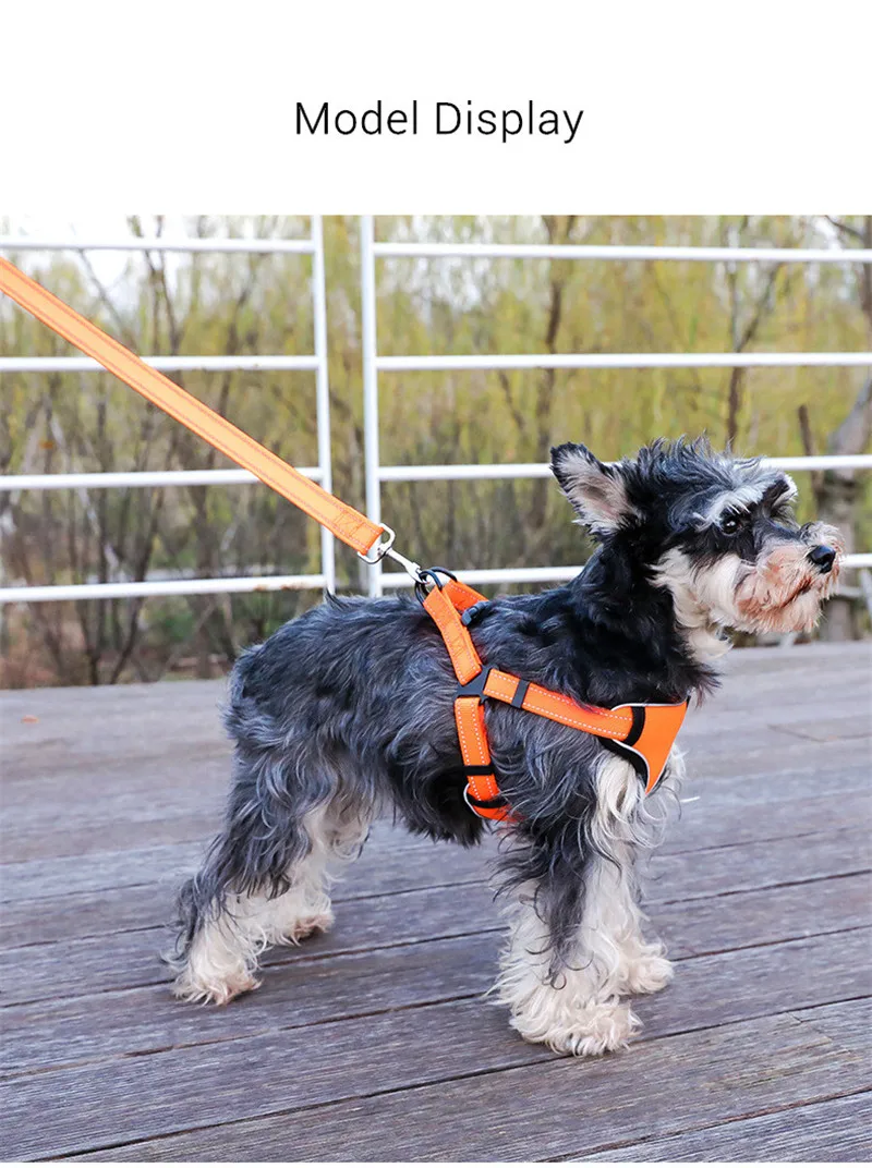 Dog Harness (11)