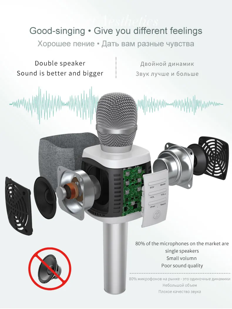 027 Mic  (2)
