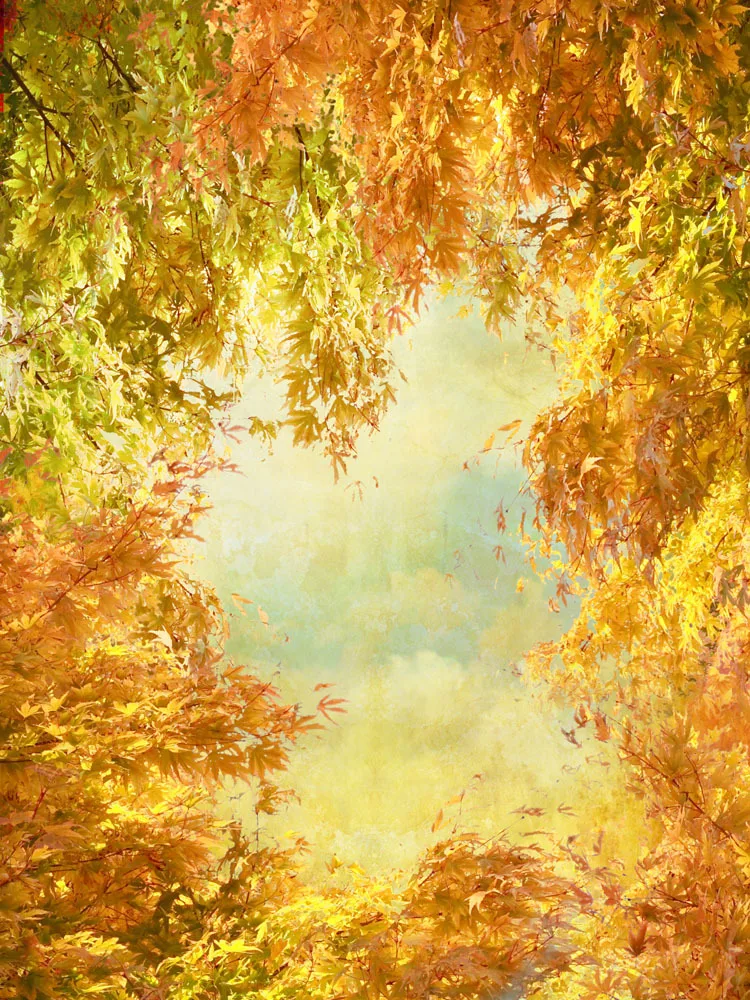 5x7ft Autumn Theme Photography Background Vinyl Digital Photography