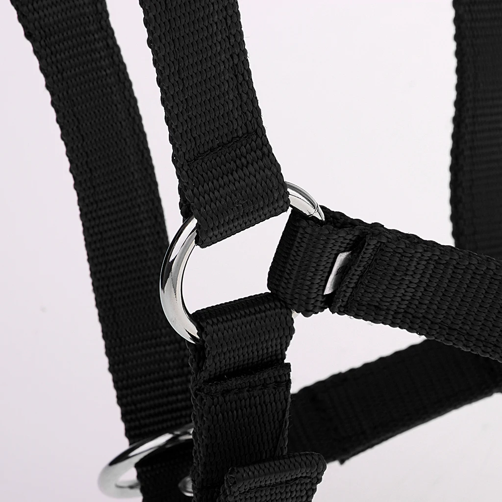 Adjustable Webbing Equestrian Horse Halter Horse Riding Wear Adjustable Horse Halter Outdoor Racing Woven Belts Bridle