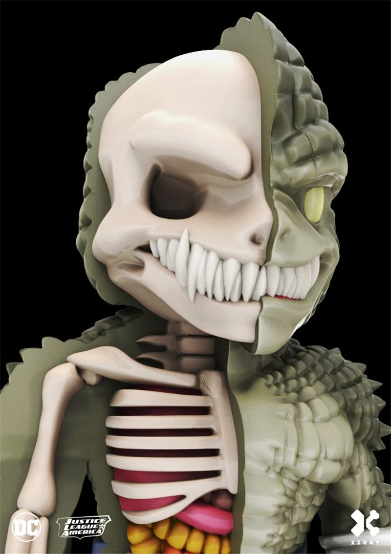 Убийца Croc 4D XXRAY master Mighty Jaxx Jason Freeny анатомическое мультяшное украшение|Медицинская