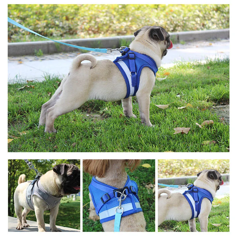 

Pet Harness Leash Set Kitten Puppy Dogs Mesh Breathable Reflective Harness 669