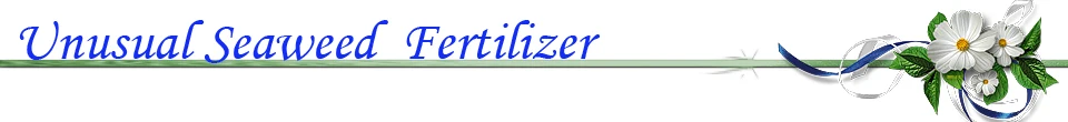 ---seaweed-fertilizer-